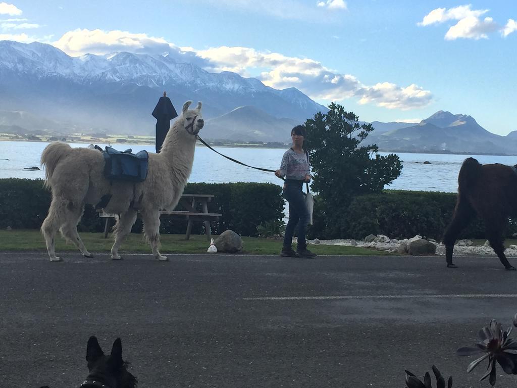 Boutique Hotel Kaikoura Kültér fotó